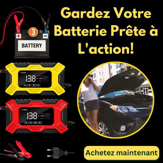 Chargeur pour batteries de voiture